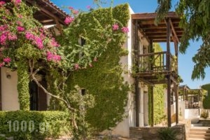 Ambelos_best deals_Hotel_Crete_Heraklion_Ammoudara