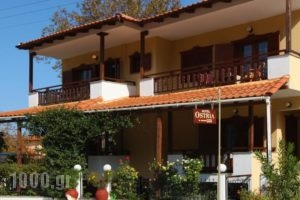 Ostria Hotel_accommodation_in_Hotel_Aegean Islands_Thasos_Thasos Chora
