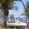 Three Stars Beach Hotel_best deals_Hotel_Ionian Islands_Corfu_Corfu Rest Areas