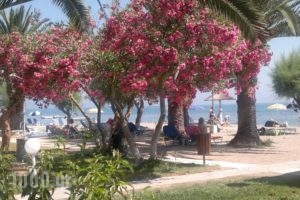 Three Stars Beach Hotel_best prices_in_Hotel_Ionian Islands_Corfu_Corfu Rest Areas