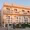 Theoni Apartments_best prices_in_Apartment_Crete_Heraklion_Malia