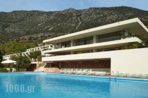 Amalia Hotel Delphi_accommodation_in_Hotel_Central Greece_Fokida_Delfi