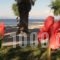 Three Stars Beach Hotel_travel_packages_in_Ionian Islands_Corfu_Corfu Rest Areas