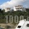 Nora Norita_lowest prices_in_Hotel_Cyclades Islands_Andros_Andros City