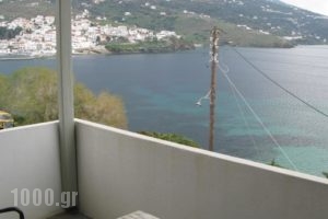Nora Norita_holidays_in_Hotel_Cyclades Islands_Andros_Andros City