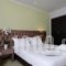 Athens Lotus Hotel_best prices_in_Hotel_Central Greece_Attica_Athens