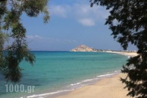 Akti Kastraki Areti Bungalows_holidays_in_Hotel_Cyclades Islands_Naxos_Naxos Chora