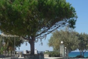 Akti Kastraki Areti Bungalows_accommodation_in_Hotel_Cyclades Islands_Naxos_Naxos Chora