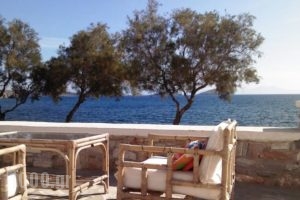 Anemelia Studios_accommodation_in_Hotel_Cyclades Islands_Syros_Posidonia