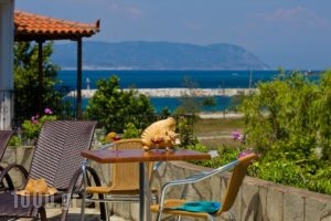 Hovolo Hotel Apartments_best prices_in_Apartment_Sporades Islands_Skopelos_Neo Klima - Elios