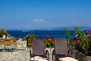Hovolo Hotel Apartments_accommodation_in_Apartment_Sporades Islands_Skopelos_Neo Klima - Elios