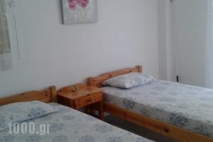 Maria Apartments_best deals_Apartment_Macedonia_Pieria_Paralia Skotinas