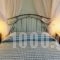 Artemis Village_best deals_Hotel_Cyclades Islands_Sandorini_Fira