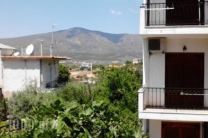 Hotel Karagiannis_lowest prices_in_Hotel_Aegean Islands_Thasos_Thasos Chora