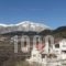 Hotel Elatofilito_best deals_Hotel_Epirus_Arta_Arta City