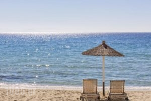 Mykonos Kosmoplaz Beach Resort Hotel_lowest prices_in_Hotel_Cyclades Islands_Mykonos_Platys Gialos