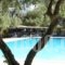 Villea Village_accommodation_in_Hotel_Crete_Lasithi_Makrys Gialos