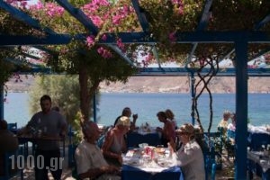 Faros Rooms_lowest prices_in_Room_Dodekanessos Islands_Tilos_Livadia