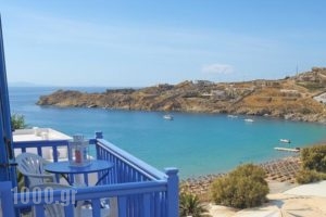 Super Paradise Rooms_accommodation_in_Room_Cyclades Islands_Mykonos_Mykonos Chora