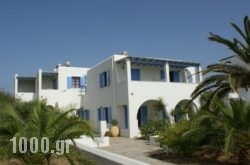 Glyfada Beach Studios in Naxos Chora, Naxos, Cyclades Islands