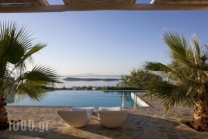 Calme Boutique Hotel_travel_packages_in_Cyclades Islands_Paros_Paros Chora