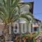 Pension Aldebaran_best prices_in_Hotel_Aegean Islands_Thassos_Potos