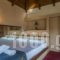Villa Iason_lowest prices_in_Villa_Crete_Chania_Tavronit's