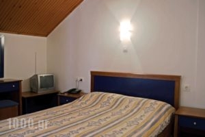 Hotel Vlassis_lowest prices_in_Hotel_Thessaly_Larisa_Agia