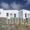 Provalma Studios_lowest prices_in_Hotel_Cyclades Islands_Folegandros_Folegandros Chora