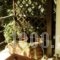 The Garden House_best deals_Hotel_Thessaly_Magnesia_Almiros