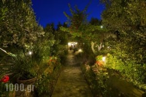 Harry'S Paradise_best prices_in_Hotel_Dodekanessos Islands_Kalimnos_Kalimnos Chora