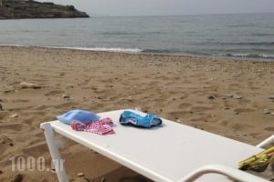 Petradi Beach Lounge Hotel_best prices_in_Hotel_Crete_Rethymnon_Rethymnon City
