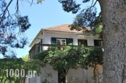 Villa eleni in Argostoli, Kefalonia, Ionian Islands