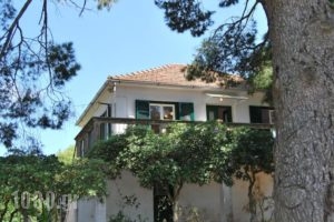 Villa eleni_accommodation_in_Villa_Ionian Islands_Kefalonia_Argostoli