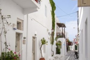 Argonauta Hotel_holidays_in_Hotel_Cyclades Islands_Paros_Paros Chora