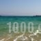 Blue Dolphin_holidays_in_Hotel_Cyclades Islands_Antiparos_Antiparos Chora