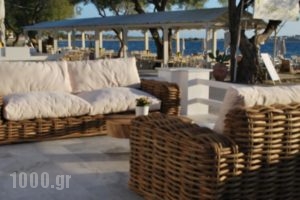 Ippokampos Beachfront_travel_packages_in_Cyclades Islands_Naxos_Naxos Chora