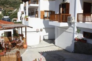 Amorani Studios_holidays_in_Hotel_Cyclades Islands_Andros_Batsi