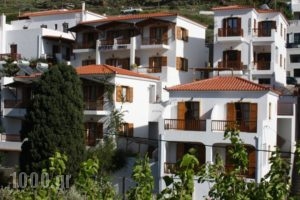 Amorani Studios_accommodation_in_Hotel_Cyclades Islands_Andros_Batsi