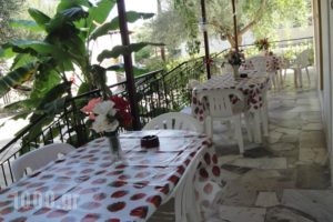 Studios Anna_travel_packages_in_Ionian Islands_Zakinthos_Laganas