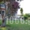 Rena's House_best deals_Hotel_Peloponesse_Achaia_Kalogria