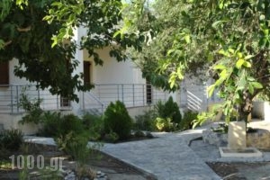 Chouzourakis Studios_accommodation_in_Hotel_Crete_Heraklion_Viannos