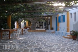 Miltiadis Apartments_accommodation_in_Apartment_Cyclades Islands_Paros_Paros Rest Areas