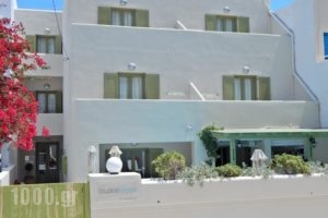 Studios Marios_best prices_in_Hotel_Cyclades Islands_Sandorini_Sandorini Chora