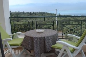To Ampelaki_best deals_Hotel_Ionian Islands_Lefkada_Lefkada's t Areas