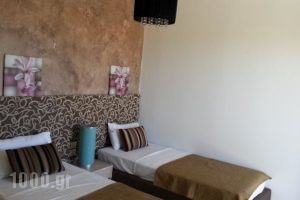 Cretan Family Apartments_best prices_in_Apartment_Crete_Heraklion_Malia