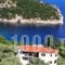 Mando Beachfront_accommodation_in_Hotel_Sporades Islands_Skopelos_Skopelos Chora