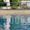Vergina Star Hotel_accommodation_in_Hotel_Ionian Islands_Lefkada_Lefkada's t Areas