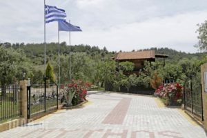Mythos Bungalows_lowest prices_in_Hotel_Aegean Islands_Thasos_Thasos Chora