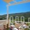 Anemomiloi Studios_accommodation_in_Hotel_Cyclades Islands_Andros_Andros City